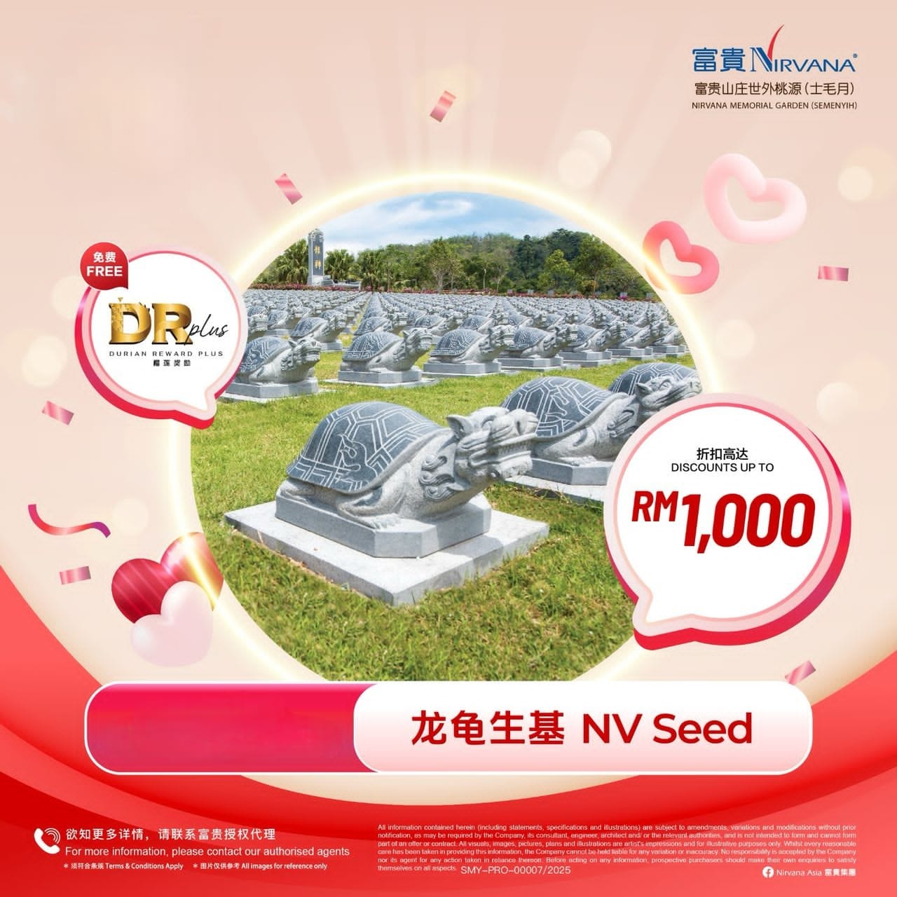 smy nv seed
